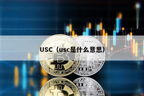 USC(usc是什么意思)