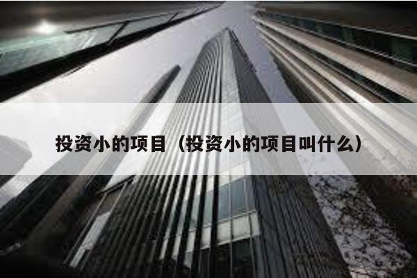投資小的項目(投資小的項目叫什么)