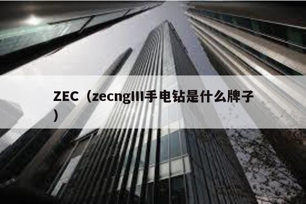 ZEC(zecngIII手電鉆是什么牌子)