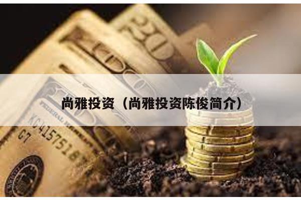 尚雅投資(尚雅投資陳俊簡介)