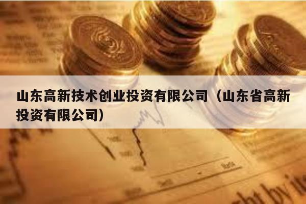 山東高新技術(shù)創(chuàng)業(yè)投資有限公司(山東省高新投資有限公司)