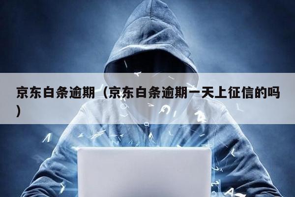 京東白條逾期(京東白條逾期一天上征信的嗎)