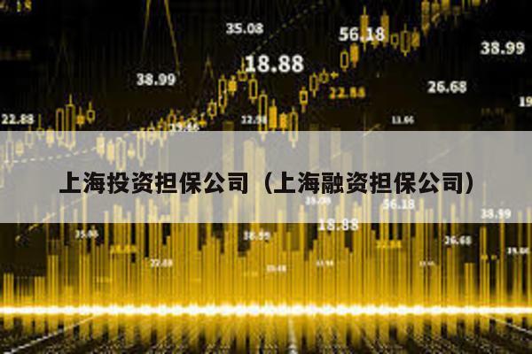 上海投資擔(dān)保公司(上海融資擔(dān)保公司)