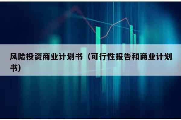 風(fēng)險(xiǎn)投資商業(yè)計(jì)劃書(可行性報(bào)告和商業(yè)計(jì)劃書)