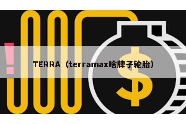 TERRA(terramax啥牌子輪胎)