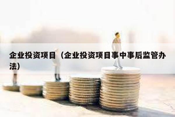 企業投資項目(企業投資項目事中事后監管辦法)