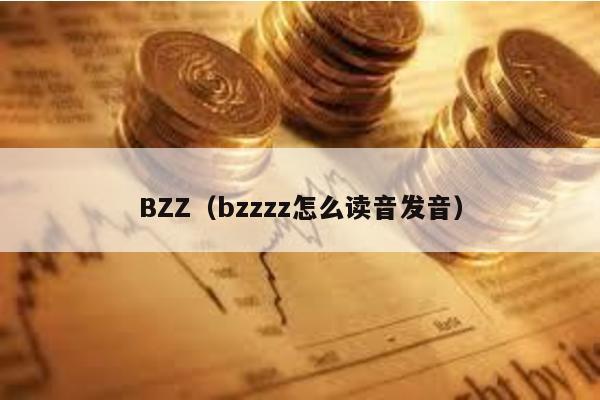 BZZ(bzzzz怎么讀音發音)