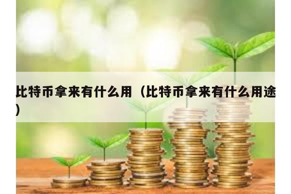 比特幣拿來有什么用(比特幣拿來有什么用途)