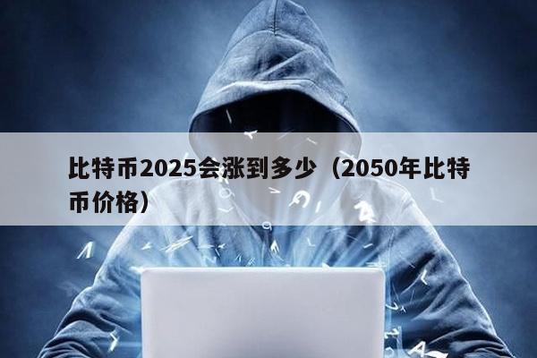 比特幣2025會漲到多少(2050年比特幣價格)