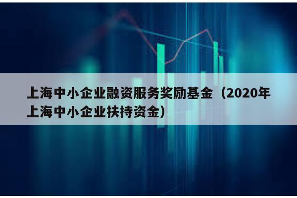 上海中小企業融資服務獎勵基金(2020年上海中小企業扶持資金)