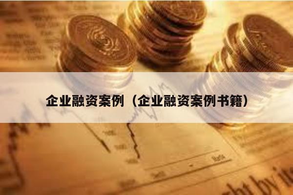 企業融資案例(企業融資案例書籍)