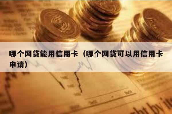 哪個網貸能用信用卡(哪個網貸可以用信用卡申請)