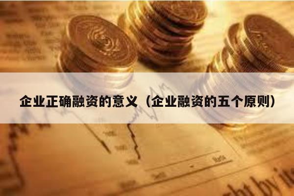 企業(yè)正確融資的意義(企業(yè)融資的五個原則)