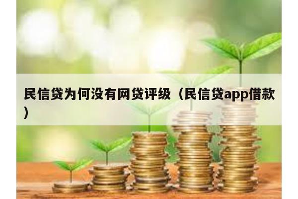 民信貸為何沒有網貸評級(民信貸app借款)