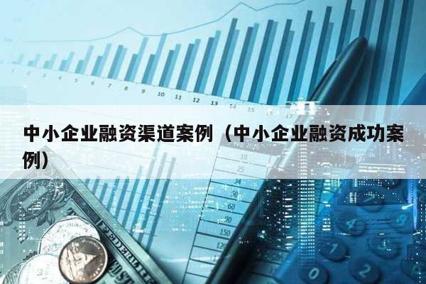 中小企業(yè)融資渠道案例(中小企業(yè)融資成功案例)