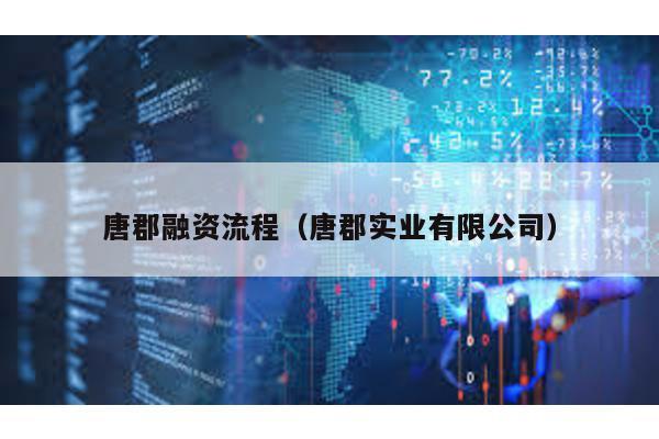 唐郡融資流程(唐郡實(shí)業(yè)有限公司)