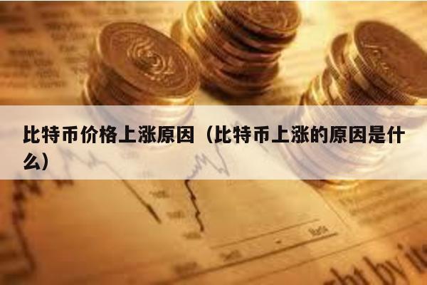 比特幣價格上漲原因(比特幣上漲的原因是什么)