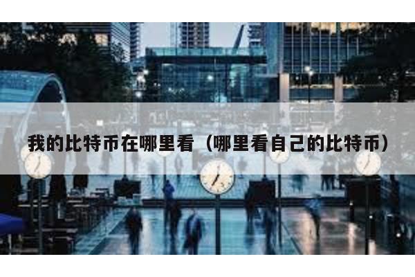 我的比特幣在哪里看(哪里看自己的比特幣)
