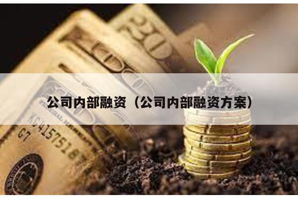 公司內部融資(公司內部融資方案)