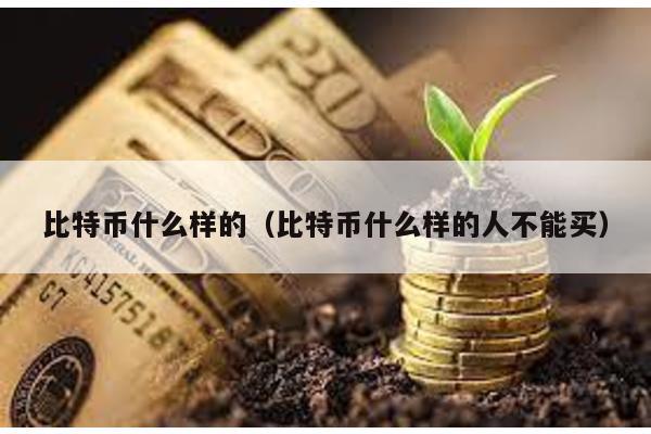 比特幣什么樣的(比特幣什么樣的人不能買)