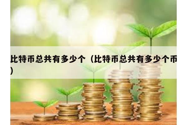 比特幣總共有多少個(比特幣總共有多少個幣)