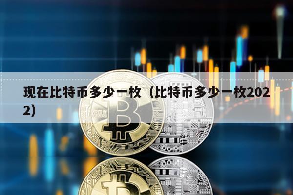 現在比特幣多少一枚(比特幣多少一枚2022)