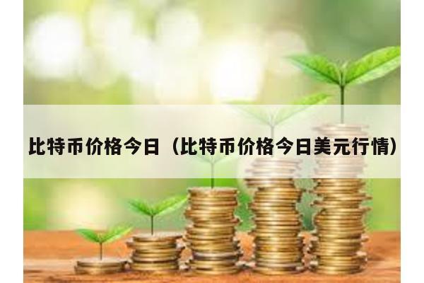 比特幣價(jià)格今日(比特幣價(jià)格今日美元行情)