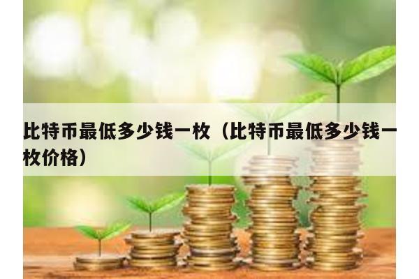 比特幣最低多少錢一枚(比特幣最低多少錢一枚價(jià)格)