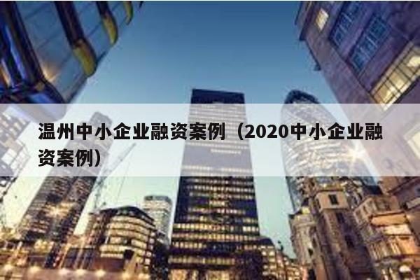 溫州中小企業(yè)融資案例(2020中小企業(yè)融資案例)
