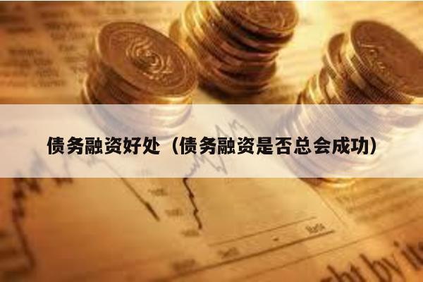 債務(wù)融資好處(債務(wù)融資是否總會成功)