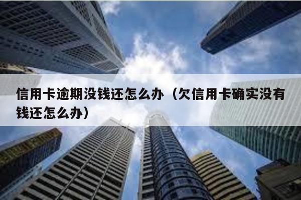 信用卡逾期沒錢還怎么辦(欠信用卡確實沒有錢還怎么辦)
