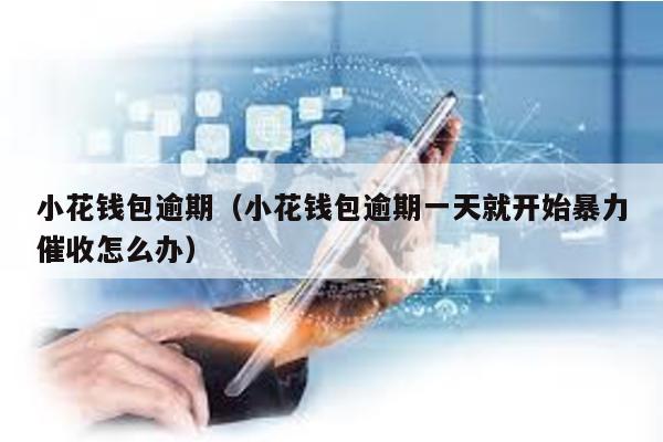 小花錢包逾期(小花錢包逾期一天就開始暴力催收怎么辦)