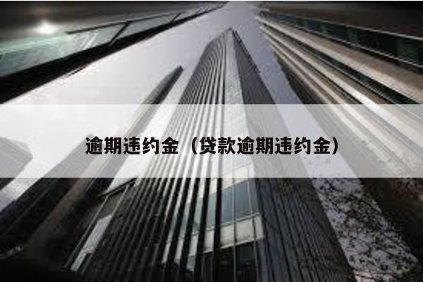 逾期違約金(貸款逾期違約金)