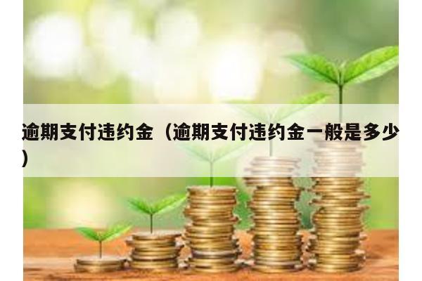 逾期支付違約金(逾期支付違約金一般是多少)