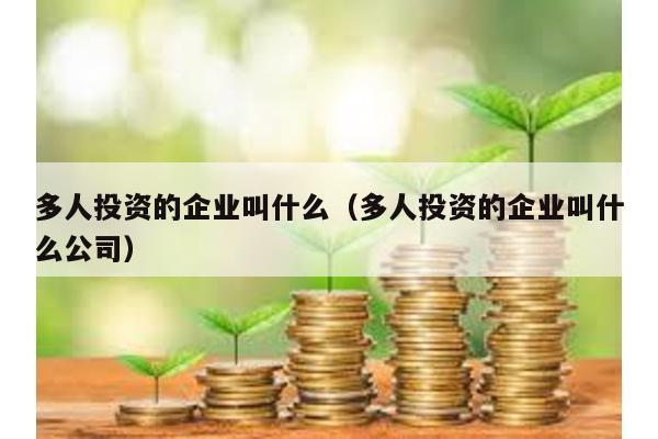 多人投資的企業(yè)叫什么(多人投資的企業(yè)叫什么公司)