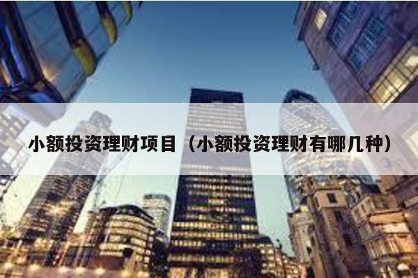 小額投資理財項目(小額投資理財有哪幾種)