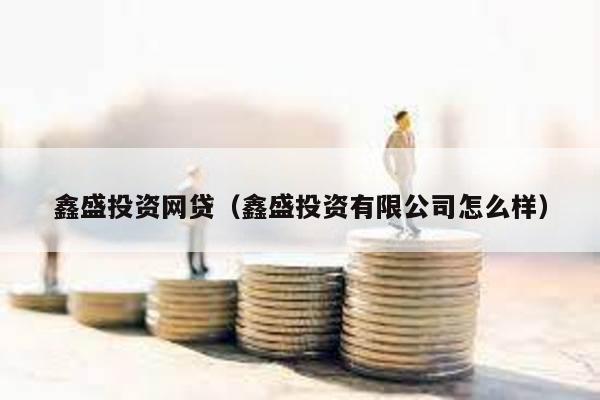 鑫盛投資網貸(鑫盛投資有限公司怎么樣)