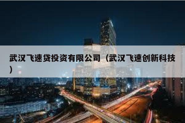 武漢飛速貸投資有限公司(武漢飛速創(chuàng)新科技)