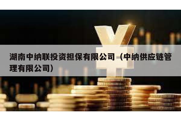 湖南中納聯投資擔保有限公司(中納供應鏈管理有限公司)