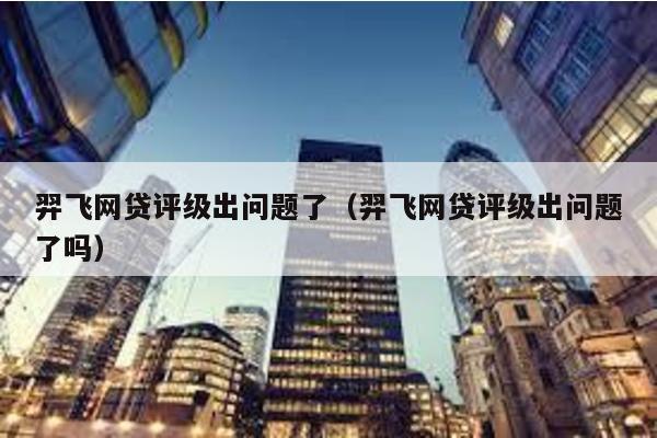 羿飛網(wǎng)貸評(píng)級(jí)出問(wèn)題了(羿飛網(wǎng)貸評(píng)級(jí)出問(wèn)題了嗎)