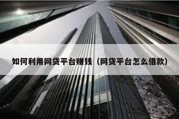 如何利用網貸平臺賺錢(網貸平臺怎么借款)