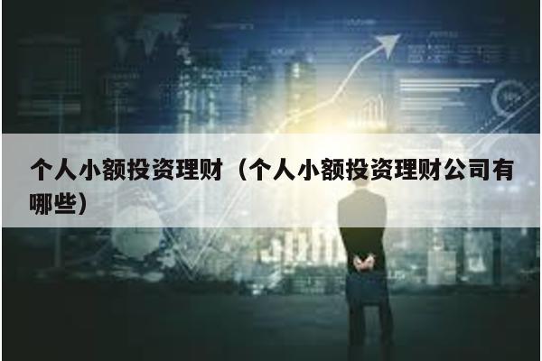 個人小額投資理財(個人小額投資理財公司有哪些)