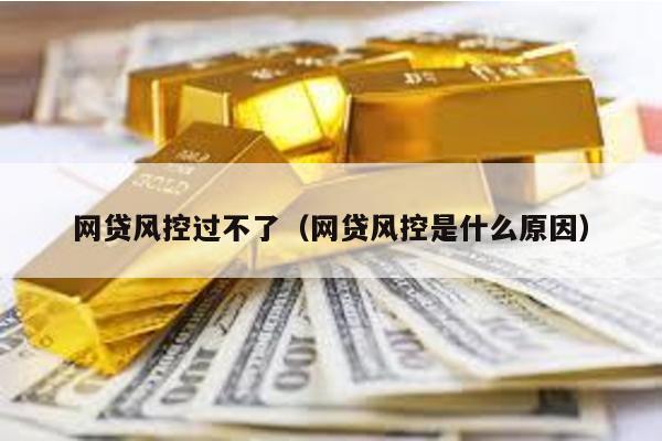 網貸風控過不了(網貸風控是什么原因)