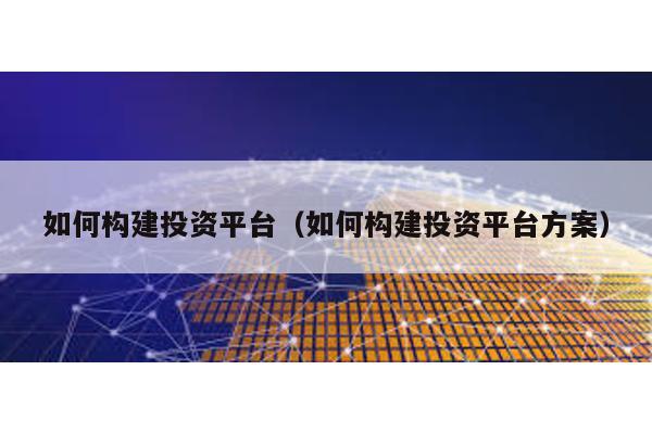 如何構(gòu)建投資平臺(tái)(如何構(gòu)建投資平臺(tái)方案)