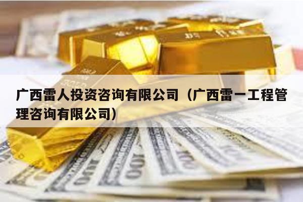 廣西雷人投資咨詢有限公司(廣西雷一工程管理咨詢有限公司)