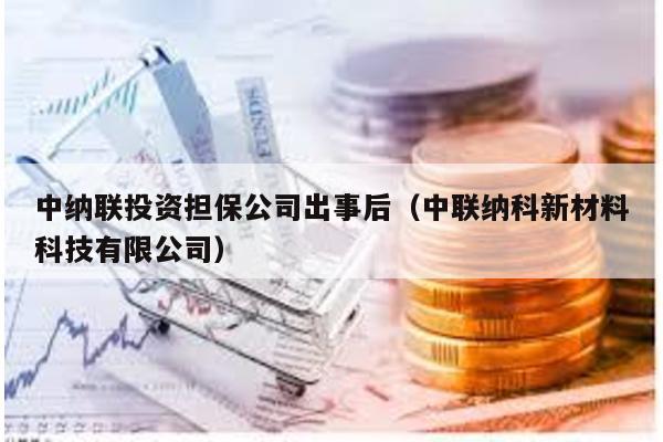 中納聯投資擔保公司出事后(中聯納科新材料科技有限公司)