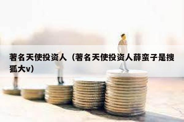 著名天使投資人(著名天使投資人薛蠻子是搜狐大v)