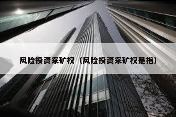 風險投資采礦權(風險投資采礦權是指)