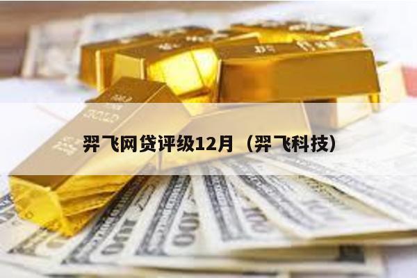 羿飛網貸評級12月(羿飛科技)