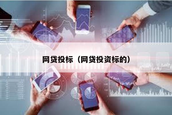 網貸投標(網貸投資標的)